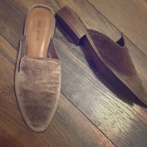Tan velour slip on shoes